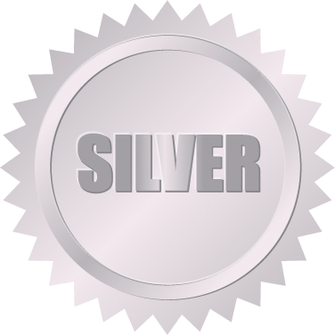 Silver Package Badge - Home electric panel upgrade near South Jersey